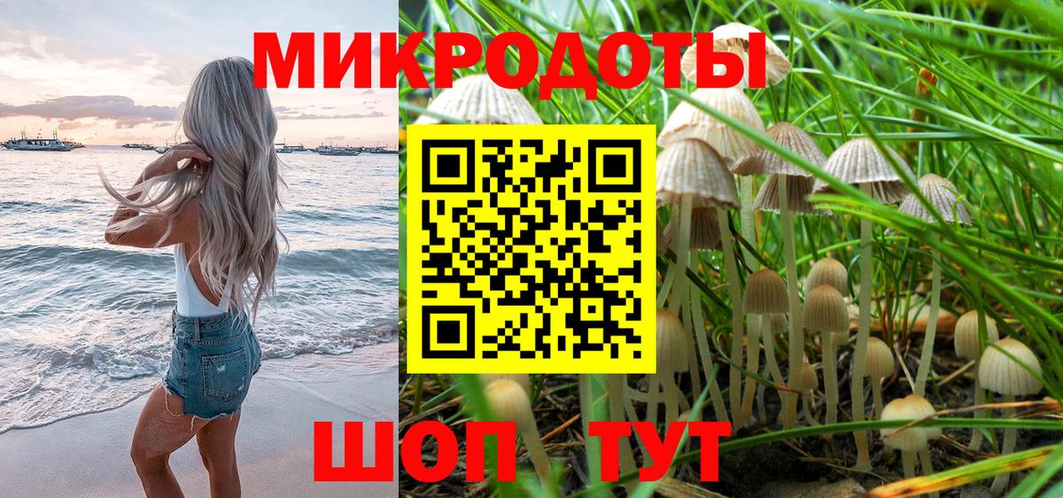 Галлюциногенные грибы Psilocybine cubensis  закладка  Сосновый Бор  Вход с VPN 