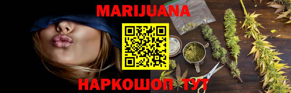 Бошки Шишки план Сосновый Бор